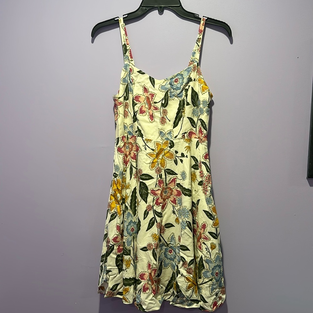 Women’s dress